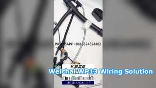 KBZE 1006889780 WEICHAI WP13 MOTOR KABELBOOM VOOR LGMG SANY XCMG TONLY MIJNBOUW DUMP TRUCK